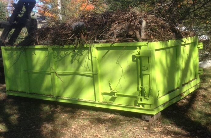 Tree Removal Dumpster Services, Jupiter Waste and Junk Removal Pros