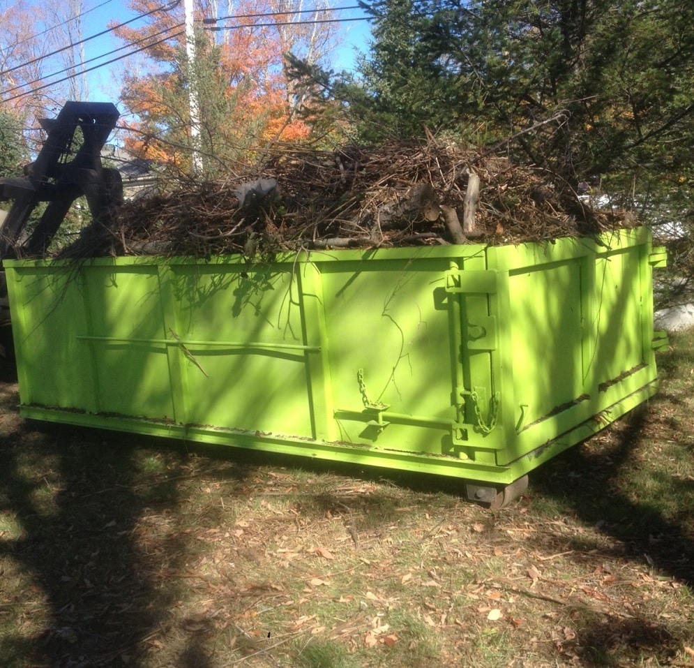Tree Removal Dumpster Services, Jupiter Waste and Junk Removal Pros